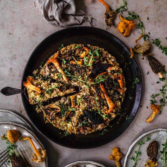 Vegan gluten-free Wild Mushroom Nut Roast recipe; with fluffy quinoa, peanuts, coconut, thyme, oregano, marjoram, garlic and citrus lemon. Edward Daniel ©.