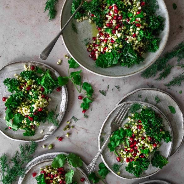 Crispy kale, tart pomegranates and mung beans dressed in olive oil, vinegar and lemon juice; vegan raw Kale Pomegranate Mung Bean Salad recipe. Edward Daniel ©.